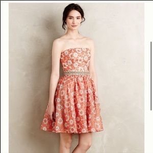 EUC Rachel Antonoff x Anthro Embroidered Kilan 10P